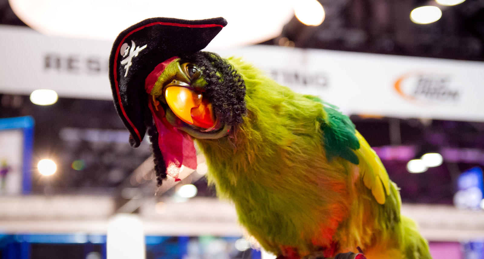 themed-environments04