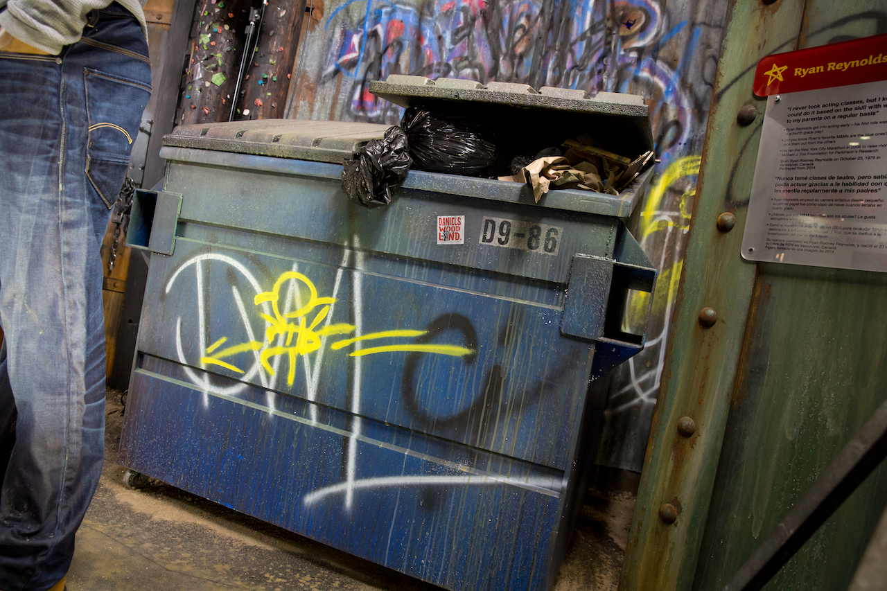 Details Dumpster